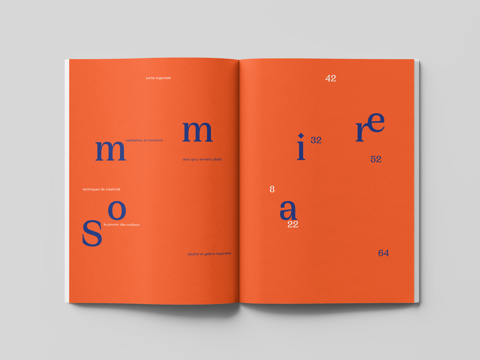 Sommaire du numéro "créativité organisée". La double page est majoritairement orange, le mot sommaire étant écrit avec une typographie incisive et bleue et les différentes catégories et la pagination dans une typo plus classique, alternant entre du bleu et du blanc.