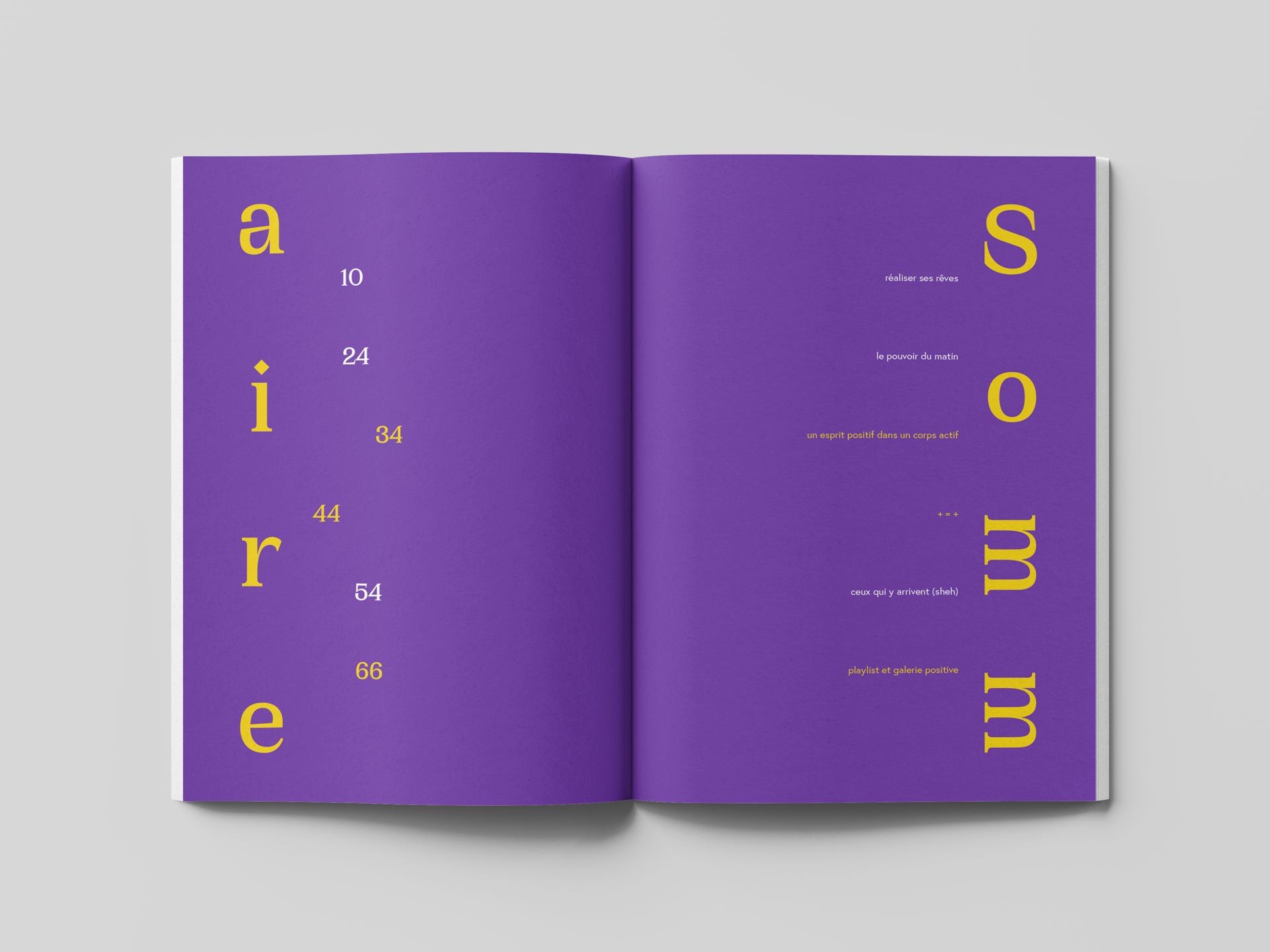 Sommaire du numéro "chasser le négatif". La double page est majoritairement violette, le mot sommaire étant écrit avec une typographie incisive et jaune et les différente catégories et la pagination dans une typo plus classique, alternant entre du jaune et du blanc.