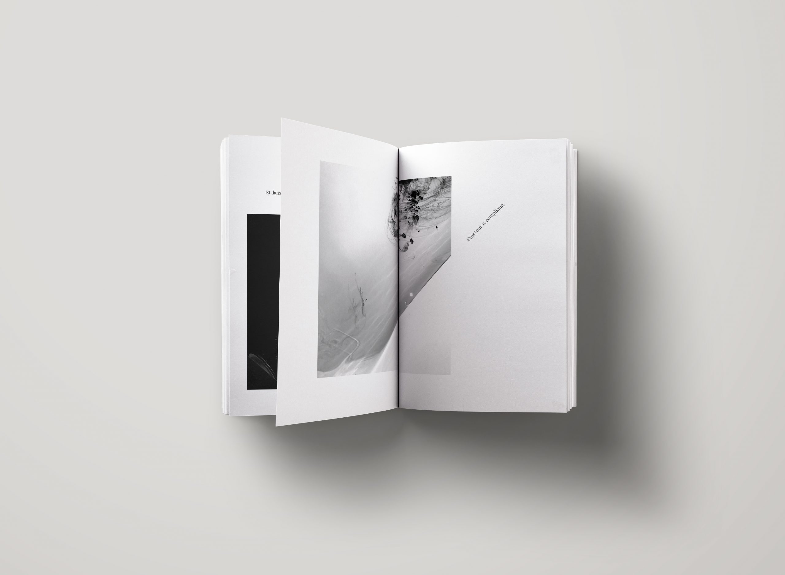 Visuel du livre "j'ai quelque chose à vous montrer" ouvert sur la photographie d'une tache d'encre noire se diluant dans l'eau.