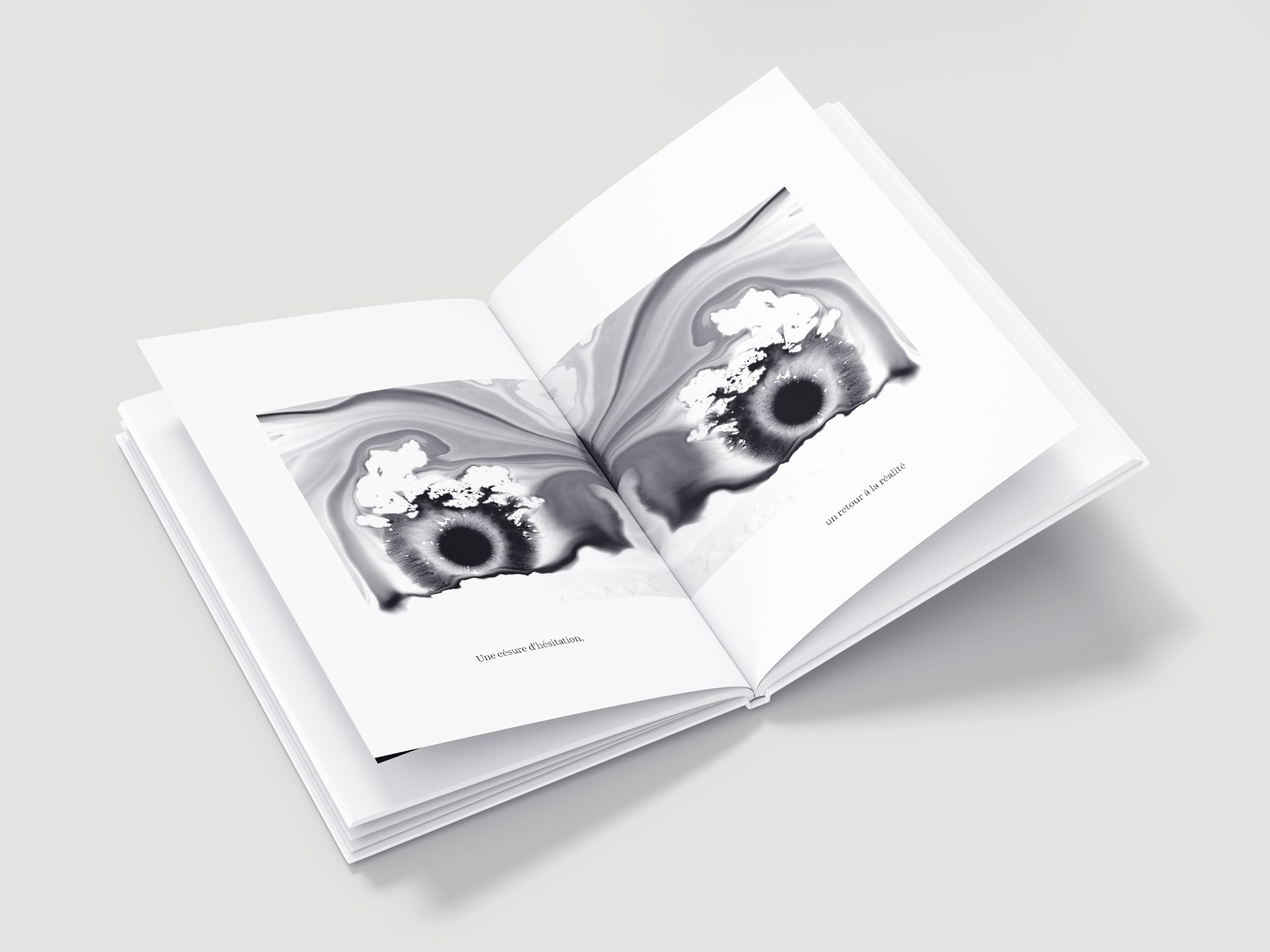 Visuel du livre "j'ai quelque chose à vous montrer" ouvert sur la photographie d'une tache d'encre dupliquer avec un effet miroir, créant l'illusion d'un regard de hibou.