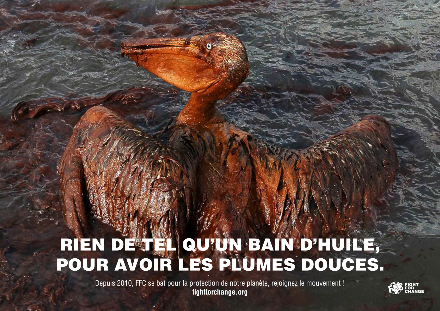 Photographie d'un pélican couvert de pétrole pris dans une marrée noire accompagnée de la phrase "rien de tel qu'un bain d'huile pour avoir les plumes douces". En dessous se trouve une phrase incitant à agir pour la planète avec le site internet de l'association FFC. En bas à gauche du visuel se trouve le logo de l'association