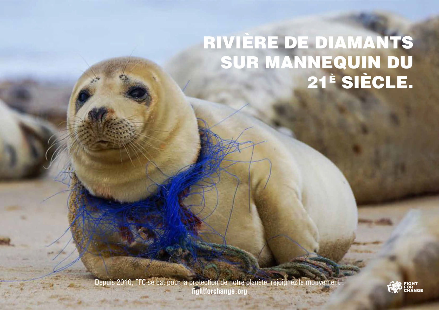 Photographie d'un petit phoque sur une plage ayant autour du coup les reste d'un filet de pèche bleu indigo, accompagnée de la phrase "rivière de diamants sur mannequin du 21è siècle". En dessous se trouve une phrase incitant à agir pour la planète avec le site internet de l'association FFC. En bas à gauche du visuel se trouve le logo de l'association.
